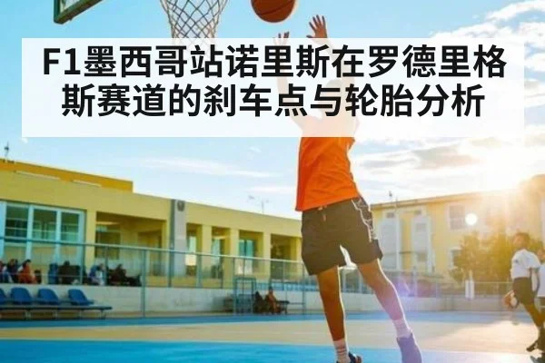 F1墨西哥站诺里斯在罗德里格斯赛道的刹车点与轮胎分析